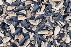 Куплю лузгу подсолнечника грн.0