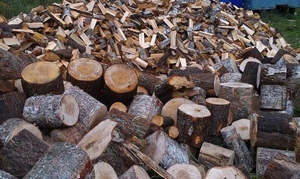 Продам дубові дрова з доставкою грн.450