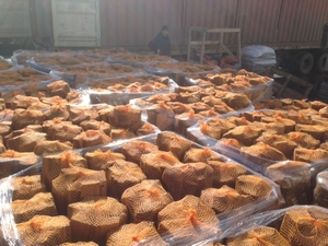 Дрова дубовые, сухие  грн.0