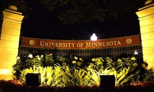 Университет Миннесоты разработал методику улучшения производства биотоплива ##f_price|CURR_SIGN##