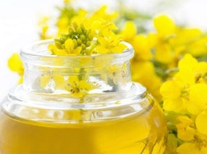 Рапсовое масло сократит объем кишечных газов крупного рогатого скота на 42 миллиарда кубометров в год ##f_price|CURR_SIGN##