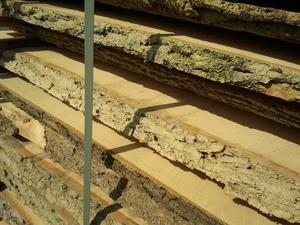 Предлагаем доску ясеня не обрезную грн.0