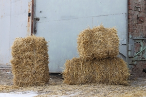 Продам солому в тюках грн.0