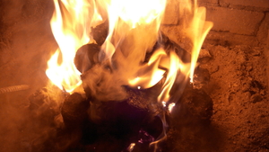 Брикеты из лузги подсолнечника грн.1200