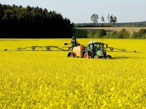 Франция увеличила долю содержания биодизеля в топливе ##f_price|CURR_SIGN##