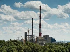 30 млн. тонн биомассы позволят ТЭЦ Польши полностью отказаться от угля ##f_price|CURR_SIGN##