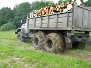 Продам дрова дуб бук  грн.0