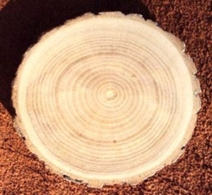 Купим ясень кругляк 1-2 сорт грн.0