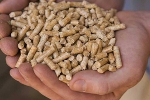 Северные регионы США сталкиваются с нехваткой пеллет ##f_price|CURR_SIGN##