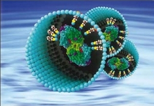 Американские учёные предложили новый метод расщепление биомассы ##f_price|CURR_SIGN##