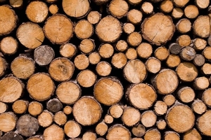 Продам дрова твёрдых пород грн.450