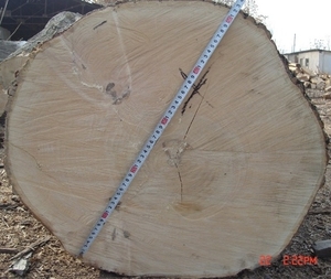 Необрезная доска из клена свежепиленная и сухая грн.