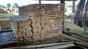 Необрезная доска из березы свежепиленная и сухая грн.