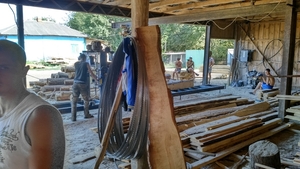 Необрезная доска из береста свежепиленная и сухая грн.2800