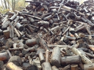 Продаем лесоматериал грн.0
