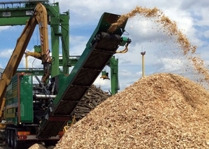 Украинский производитель древесной щепы Active Energy расширяет рынки сбыта ##f_price|CURR_SIGN##