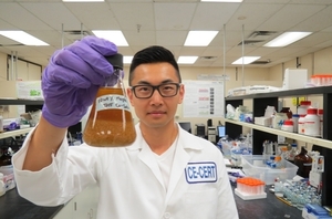 Предварительная обработка зерна может снизить себестоимость биотоплива на 30% ##f_price|CURR_SIGN##