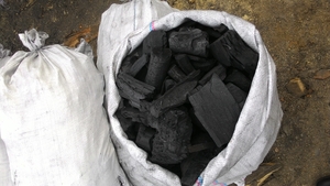 Уголь древесный: бук, граб, дуб грн.0