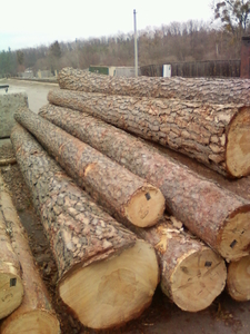 Сосна, Пиловочник 1, 2, 3 сорт грн.1100