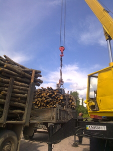 Колотые дрова на экспорт грн.50