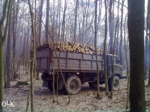 Продам дрова метровки грн.300