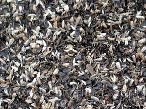 Элеваторный отсев подсолнечника грн.350