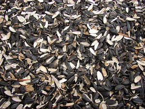 Закупаем лузгу подсолнечника на постоянной основе грн.0