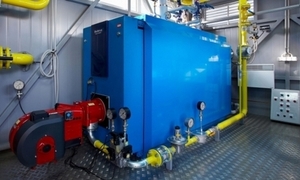 Никопольское предприятие Трубосталь переходит на использование пеллет ##f_price|CURR_SIGN##