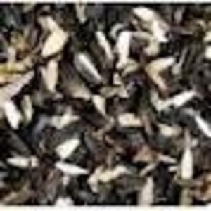 Закупаем лузгу (шелуху) подсолнечника, элеваторный отсев грн.0