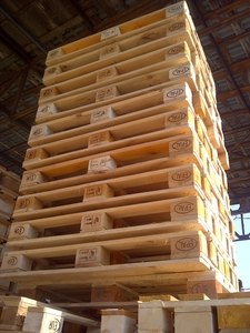 Produzieren Holzpaletten verkaufen Reparatur verwendet Paletten грн.4