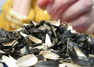 Продам шелуху подсолнечника грн.1100