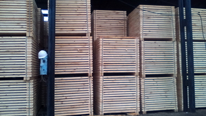 Предприятие является производителем обрезных пиломатериалов  грн.0