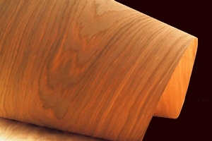 Продам шпон дуб, бук грн.100