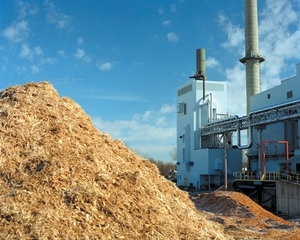 Украина может заменить импортный газ биомассой ##f_price|CURR_SIGN##