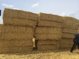 Измельченная солома высшего качества грн.700