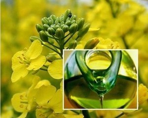 Проект в сфере альтернативной энергетики занял призовое место на конкурсе Intel Эко Украина ##f_price|CURR_SIGN##