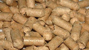 Немецкое предприятие закупит пеллеты DIN Plus и Qualität EM грн.60
