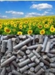 1 000-5 000 тонн гранули соняшнику (пеллети) грн.0