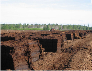 Куплю фрезерный торф оптом грн.0