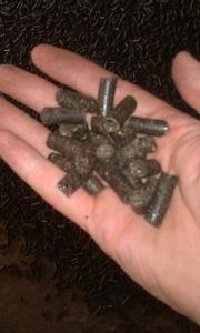 Продам пеллеты (гранулы) из лузги подсолнечника (микс) грн.1250