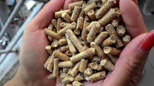 Древесные пеллеты A2 Enplus из хвойных пород грн.87