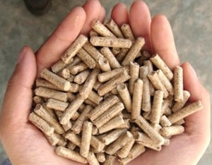 Компания заинтересована в древесных пеллетах грн.1