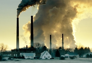 Экологи призывают пересмотреть принципы производства древесных пеллет ##f_price|CURR_SIGN##