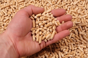 Компания закупит древесные пеллеты грн.1