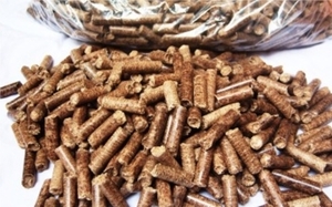 Закупим 100% древесные пеллеты DIN+ грн.1