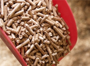 Американская компания закупит древесные пеллеты грн.1