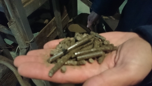 Продам пеллету из хвойных и лиственных пород грн.0