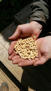 Производим и реализуем древесные пеллеты грн.3000