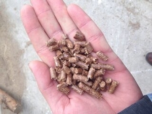 Продам пеллеты на экспорт ENplus - A2 грн.70