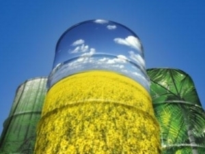 Биоэнергетика Украины как ключ к энергонезависимости страны ##f_price|CURR_SIGN##